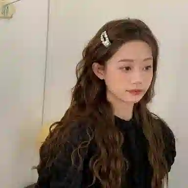 希铃 超仙高级感 清冷感 树脂 发夹 女款