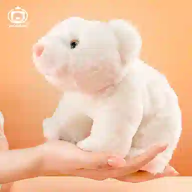 AOQUN 25cm