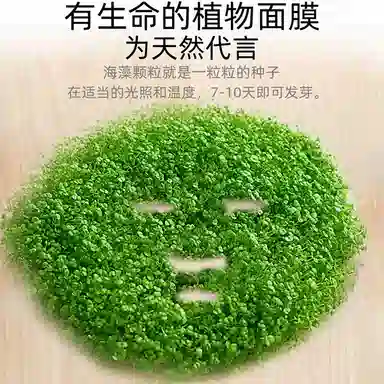 FUSHITING 250g500g1000g