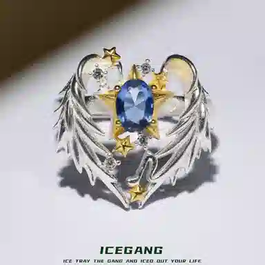 ICEGANG