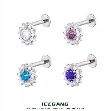 ICEGANG