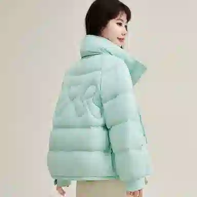 鸭鸭 时尚百搭可爱少女学生日常通勤宽松立领柔软舒适保暖轻盈羽绒服 女款