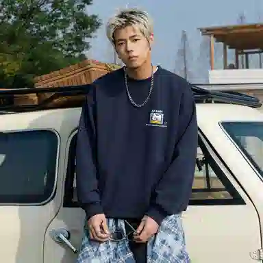 Avandi Plaid Cat Logo Sweatshirt