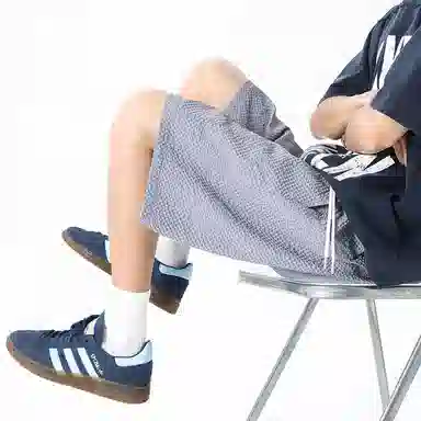 PINSCIO ZENIE