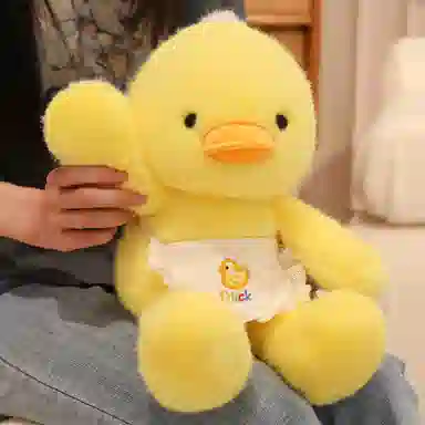 PUDOWRABBIT 40cm50cm