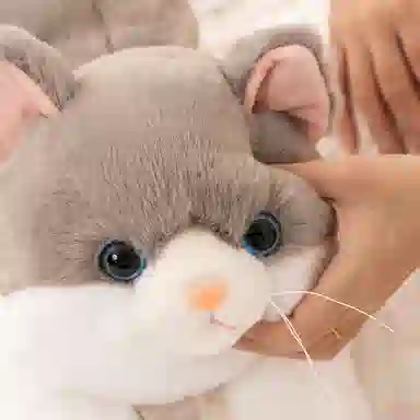 PUDOWRABBIT 50cm70cm