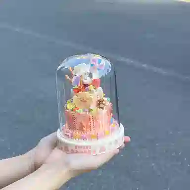 PUDOWRABBIT diy 511pcs BDT