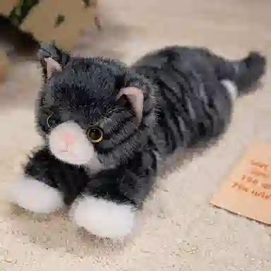 PUDOWRABBIT 40cm50cm