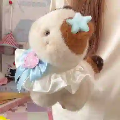 PUDOWRABBIT 20cm30cm