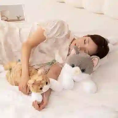 PUDOWRABBIT 50cm70cm