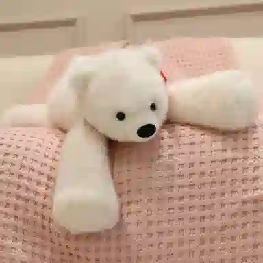 PUDOWRABBIT 40cm50cm65cm