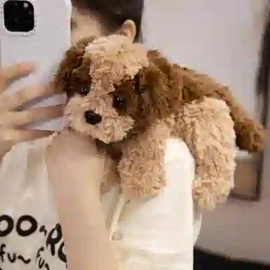 PUDOWRABBIT 32cm42cm48cm