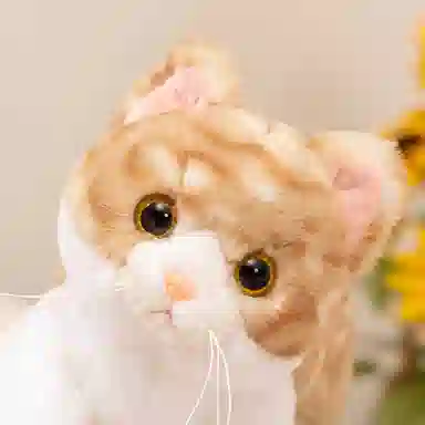 PUDOWRABBIT 50cm70cm