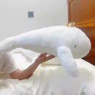 PUDOWRABBIT 60cm80cm