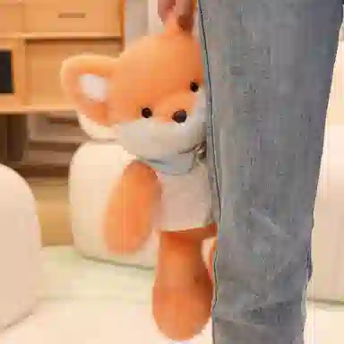 PUDOWRABBIT 40cm50cm