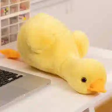 PUDOWRABBIT 50cm70cm