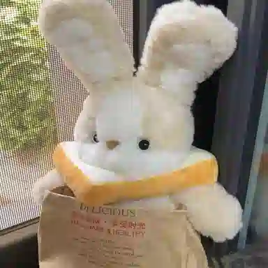 PUDOWRABBIT 35cm