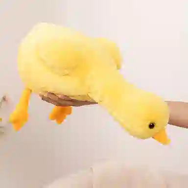 PUDOWRABBIT 50cm70cm