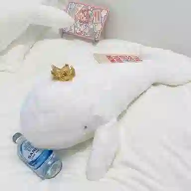 PUDOWRABBIT 60cm80cm