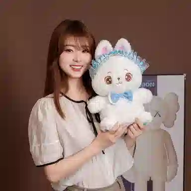 PUDOWRABBIT 25cm35cm