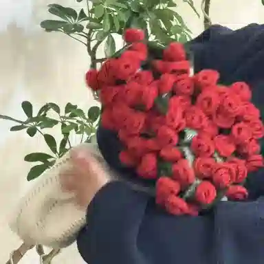 PUDOWRABBIT 60cm100cm