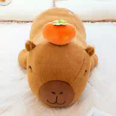 PUDOWRABBIT 60cm80cm100cm