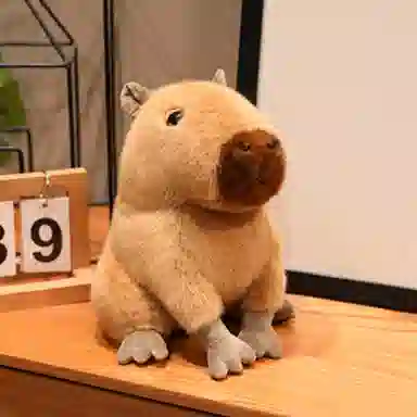 PUDOWRABBIT 12cm17cm23cm30cm