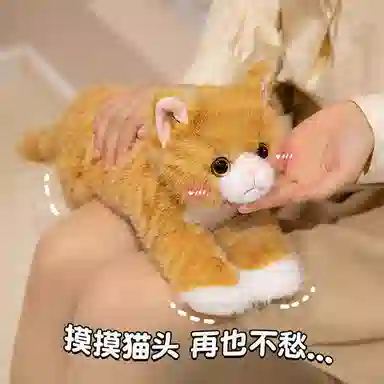 PUDOWRABBIT 40cm50cm