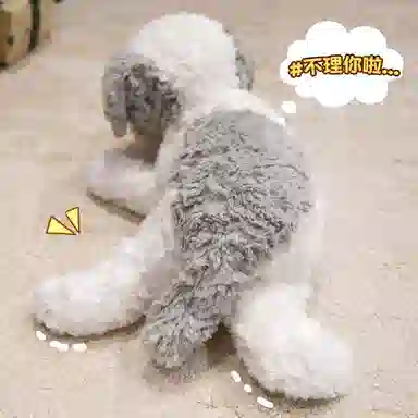 PUDOWRABBIT 32cm42cm48cm