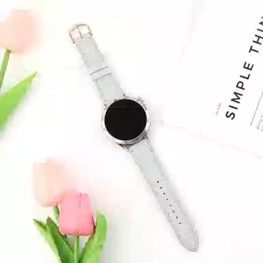 Watch76545pro4classicFE
