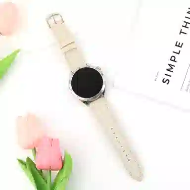 Watch76545pro4classicFE