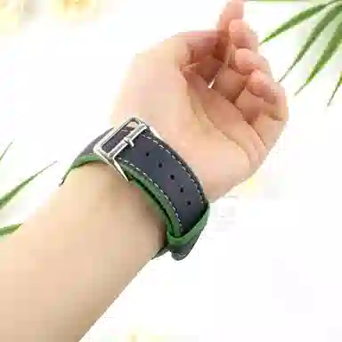 GT5GT4GT2Watch4Prowatchgt5pro