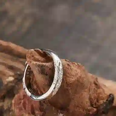 NIGHT RIDER DRIGINAL S999