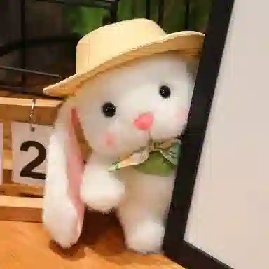 24cm
