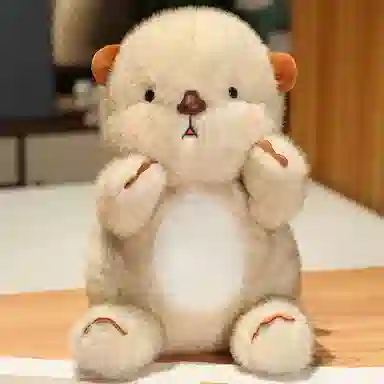 20cm30cm40cm