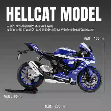 19R1M