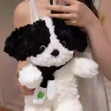 36cm