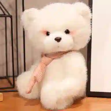 25cm35cm