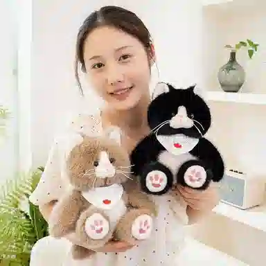 25cm35cm