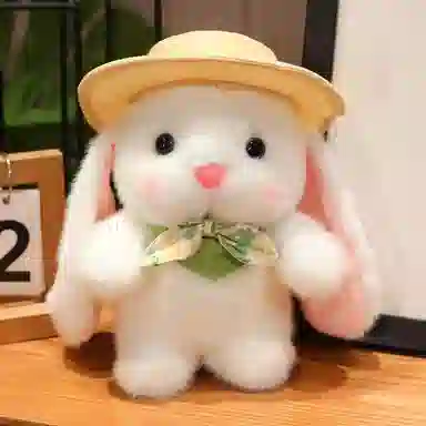 24cm