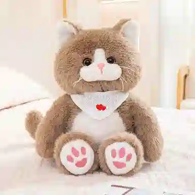 25cm35cm