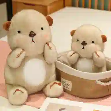 20cm30cm40cm