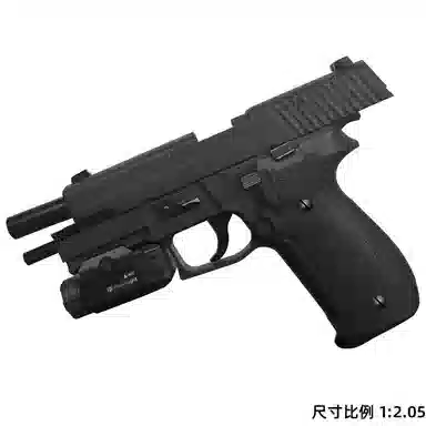 P226
