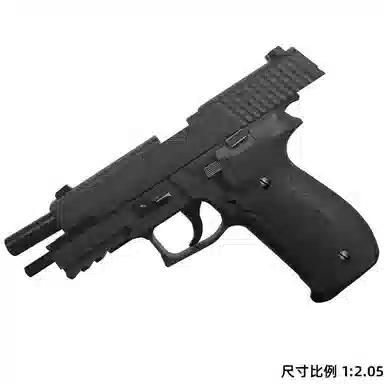 P226