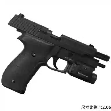 P226