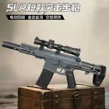 SLR