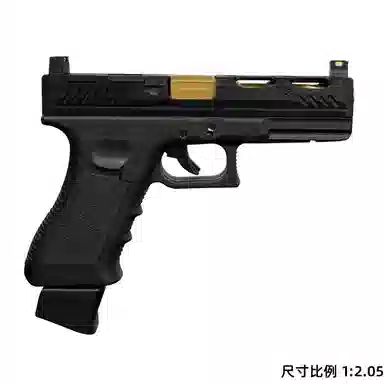 SI G17