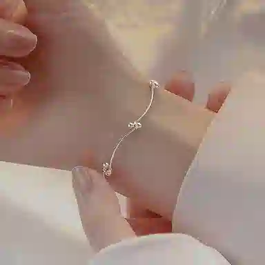 ins s925