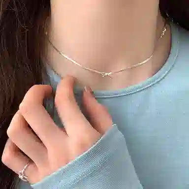ins 925