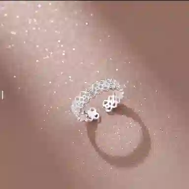 ins 925